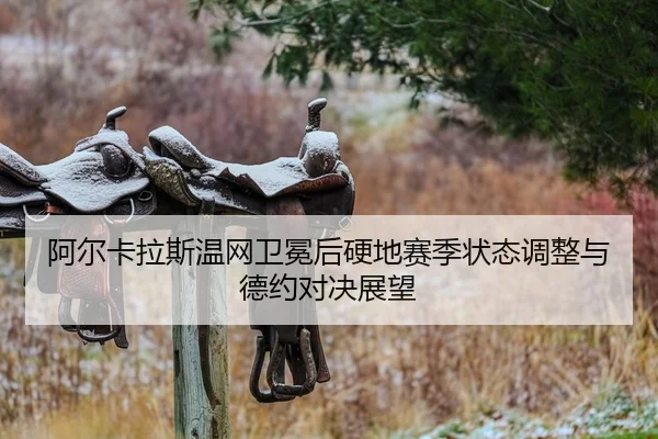 a-er-ka-la-si-wen-wang-wei-mian-hou-ying-di-sai-ji-zhuang-tai-tiao-zheng-yu-de-yue-dui-jue-zhan-wang-2-501.jpg
