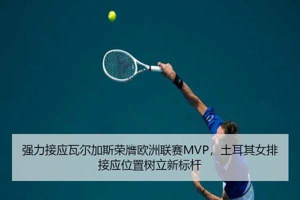 qiang-li-jie-ying-wa-er-jia-si-rong-ying-ou-zhou-lian-sai-tu-er-qi-nv-pai-jie-ying-wei-zhi-shu-li-xin-biao-gan-2-996.jpg